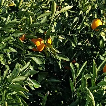 Gabrijela Mali Lošinj